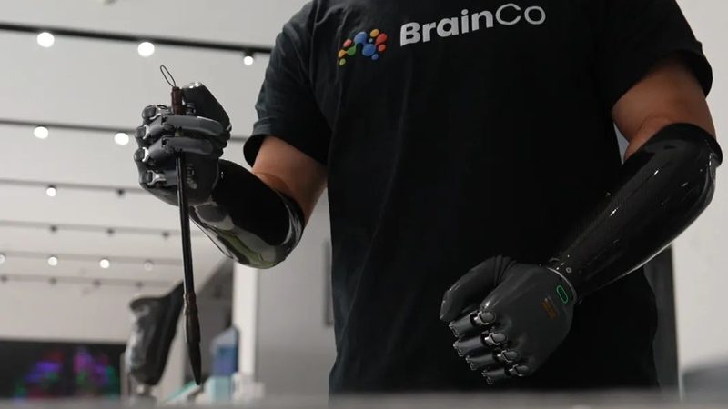 数据治理，生命线上的守护者：生命周期管理软件揭秘